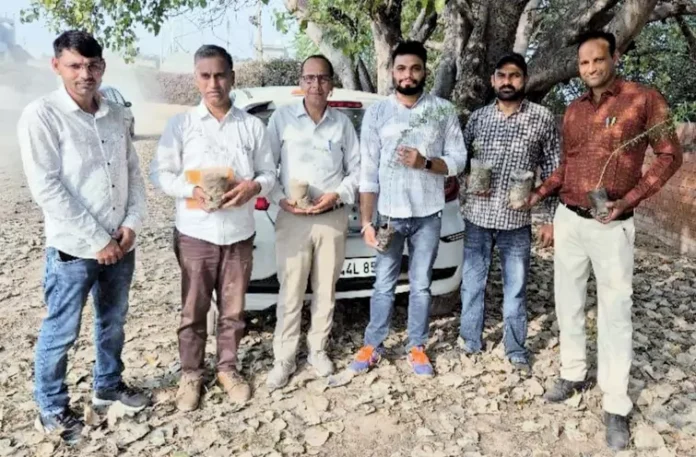 Khejri prepared in a natural way for environmental protection