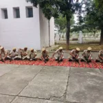 Modern weapons training is being given to soldiers in police lines.