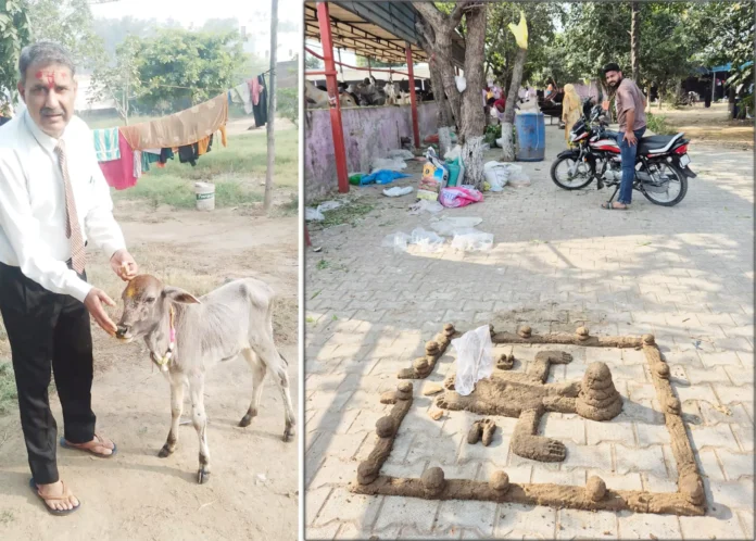 On the occasion of Gauvardhan Pooja festival, emphasis was laid on promoting cow protection