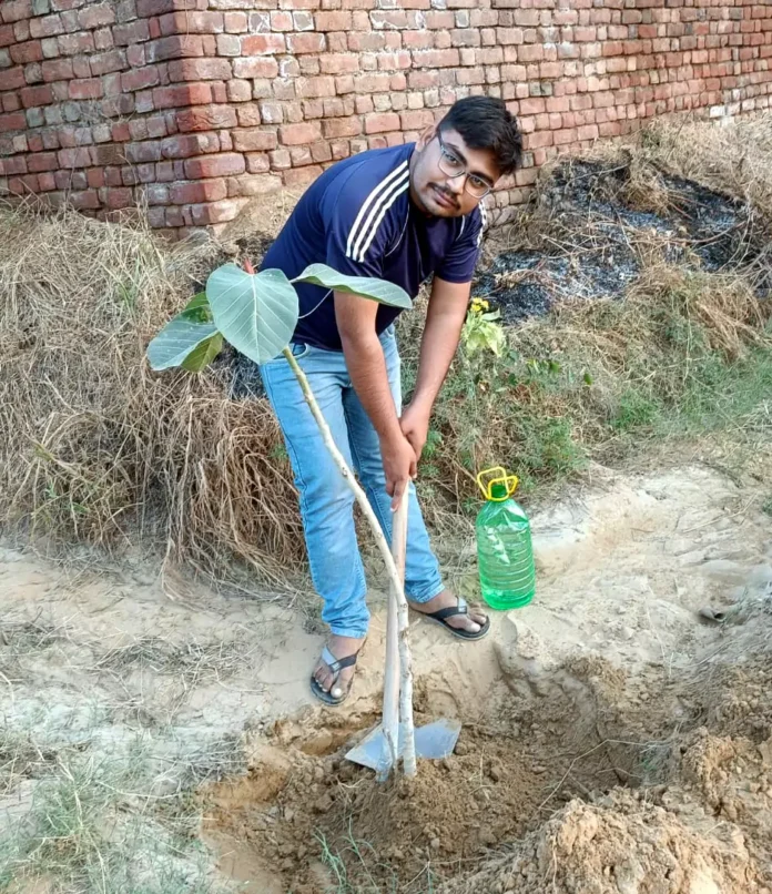 Planting trees is essential to improve quality of life Langyan