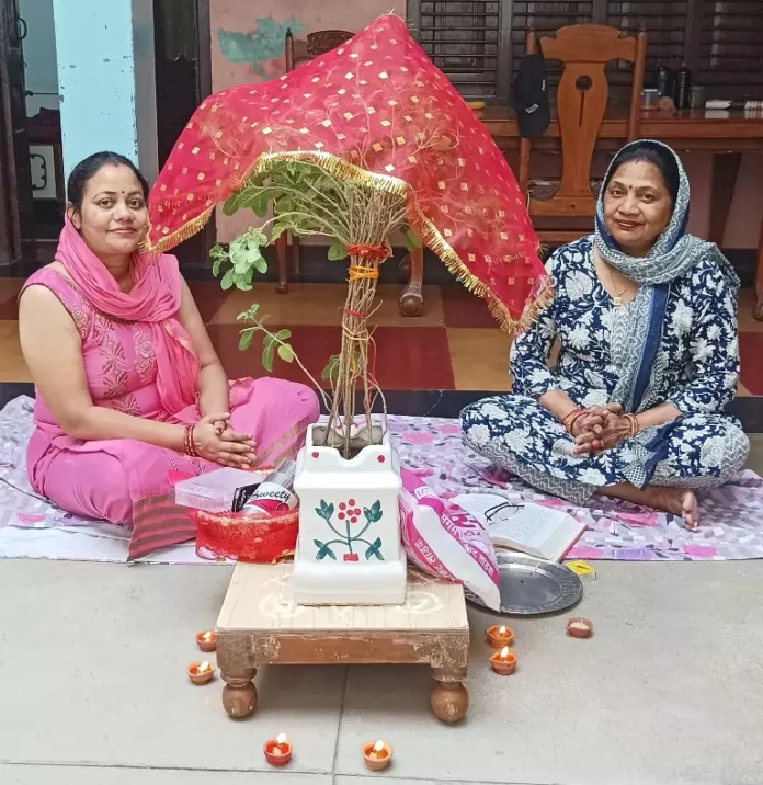 The marriage of Tulsi Mata and Lord Shaligram was organized with pomp and show