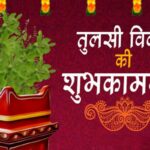 Tulsi Vivah Shayari 2024 in Hindi: तुलसी शालिग्राम विवाह की हार्दिक शुभकामनाएं