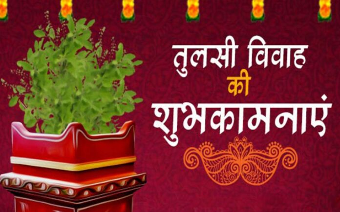 Tulsi Vivah Shayari 2024 in Hindi: तुलसी शालिग्राम विवाह की हार्दिक शुभकामनाएं