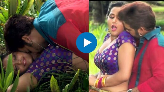 Bhojpuri Song: पवन सिंह और काजल ने गन्ने के खेत में किया झटाकेदार डांस, फैंस की बढ़ गई धड़कने