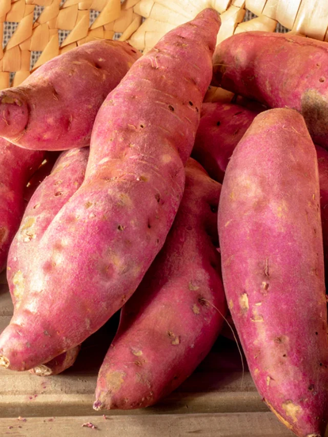 सर्दियों का फेवरेट फ़ूड Sweet Potato! फायदे जान दंग रह जाएंगे आप