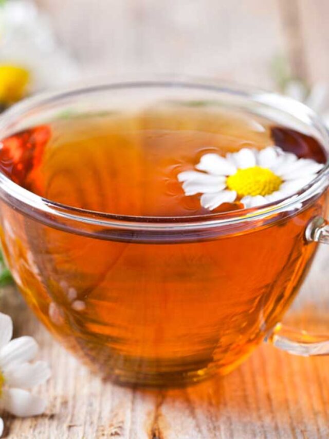 Chamomile Tea: रात में सोने से पहले पिए ये चाय, फायदे इतने कि हो जाएंगे हैरान