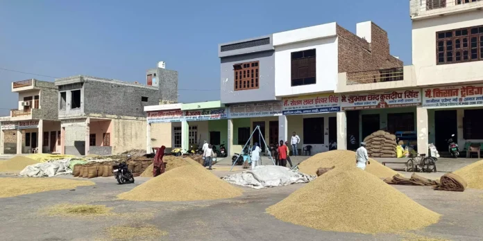 The arrival of cotton, millet and paddy crops is less than last year