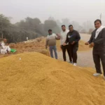 The arrival of paddy in Julana grain market is less compared to last year