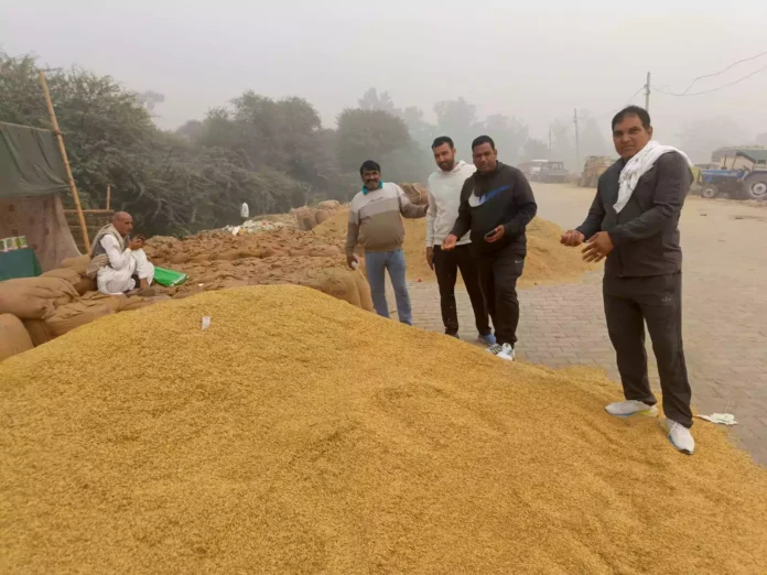 The arrival of paddy in Julana grain market is less compared to last year