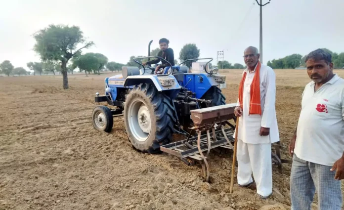 Farmers of South Haryana are disillusioned with the cultivation of maize, the trend towards the cultivation of gram is not falling due to the fall in yield