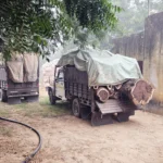 Forest conservator team took action against illegal timber vehicles, imposed fine of about 1.5 lakh