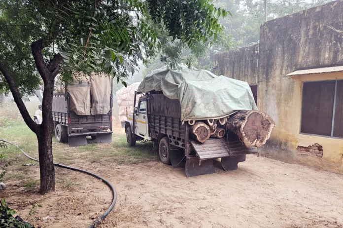 Forest conservator team took action against illegal timber vehicles, imposed fine of about 1.5 lakh