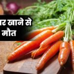 E.Coli Bacteria: गाजर खाने से मौत, स्टोर्स से वापस मंगवाए गए गाजर, जानें कारण ?