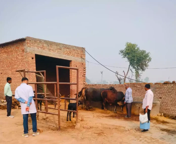 Three lakh forty thousand animals will be vaccinated under the supervision of 54 veterinarians in the district