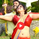 Bhojpuri song: Pawan Singh और Kajal Raghwani का 'गोरिया चाल तोहार मतवाली', सोशल मीडिया पर छाया