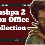 Box Office Collection Pushpa 2: एक हफ्ते से जारी है पुष्पा 2 की सुनामी, बॉक्स ऑफिस पर रच रही इतिहास