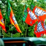 Chances of delay in election of BJP national president