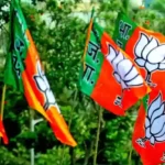 Chances of delay in election of BJP national president