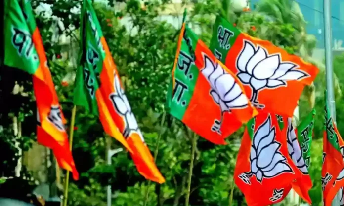 Chances of delay in election of BJP national president