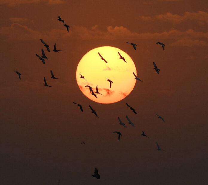 Delhi Weather Update : तेज हवाओं से छटी प्रदूषण की परत