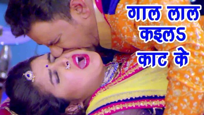 Bhojpuri Romance Song: भोजपुरी गाने 'गाल लाल कइले काटी के' में निरहुआ और आम्रपाली दुबे ने किया रोमांस