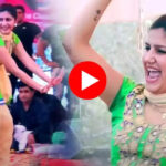 Sapna Chaudhary Dance: सपना चौधरी ने 'के लेगी मने बता दे मुंह दिखावण का' गीत में दिया बेहतरीन परफॉर्मेंस