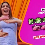 Sapna Choudhary Dance: सपना चौधरी ने इस हरियाणवी गाने पर किया कमरतोड़ डांस, तालियों से गूंज उठा स्टेज