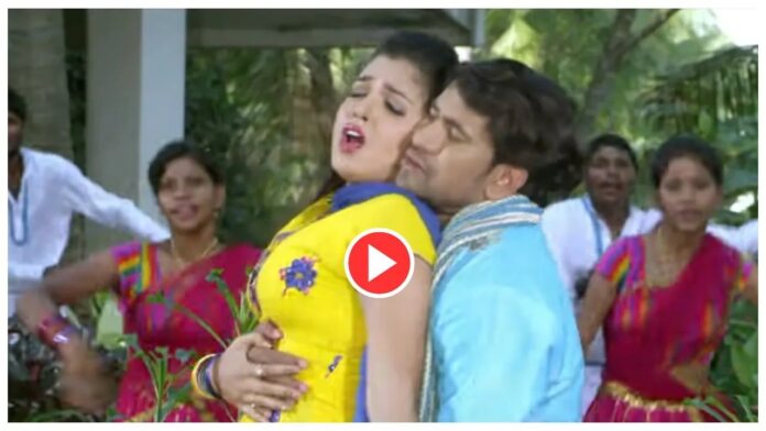 Bhojpuri Song: Sabar Kar Yeh Mor Saiyaan पर आम्रपाली दुबे और निरहुआ की गजब केमिस्ट्री