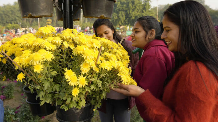 Hisar News: हिसार में पुष्प मेला शुरू