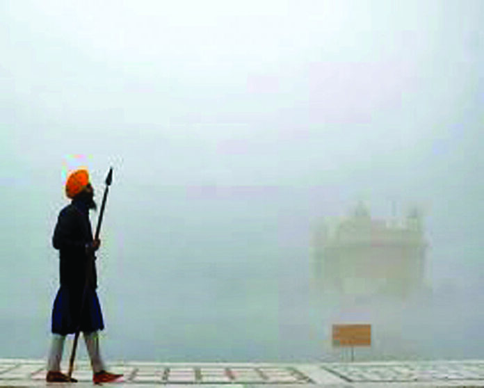 Punjab Weather Update : कोहरे और शीतलहर की चपेट में पंजाब