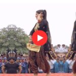 Sapna Choudhary Dance: सपना चौधरी के डांस ने मचाया धमाल, फैंस बोले – "मदमस्त कर दिया"