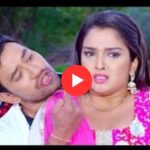 Bhojpuri Song: निरहुआ और आम्रपाली दुबे की मस्ती भरी केमिस्ट्री, वायरल हुआ वीडियो