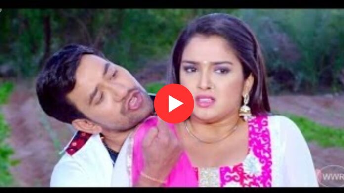 Bhojpuri Song: निरहुआ और आम्रपाली दुबे की मस्ती भरी केमिस्ट्री, वायरल हुआ वीडियो