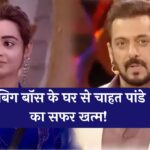 Bigg Boss 18 : बिग बॉस के घर से चाहत पांडे का सफर खत्म! फिनाले से एक हफ्ते पहले कटा पत्ता