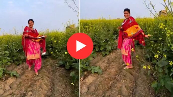 Sapna Choudhary Dance: सरसों के खेत में सपना ने मचाया धमाल, देसी अंदाज में लटके-झटकों ने जीता फैंस का दिल!