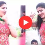 Sapna Choudhary Viral Dance: "किडनैप हो जाएगी" पर सपना चौधरी के सिजलिंग किलर मूव्स, स्टेज पर हुई पैसों की बारिश