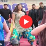 Sapna Choudhary Dance: सपना चौधरी का ताबड़तोड़ डांस, 16 मिनट तक स्टेज पर बांधा समां