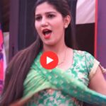 Sapna Choudhary Dance Viral: 'यार तेरा चेतक पर चले' पर सपना के ताबड़तोड़ ठुमके, बोल्ड मूव्स से देख पब्लिक के उड़े होश