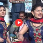 Sapna Choudhary Dance: नीली ड्रेस में 'यार तेरा चेतक पर चाले' पर सपना चौधरी का धमाकेदार डांस, फैंस के दिलों पर फिर से छाया जादू!