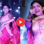 Sapna Choudhary Dance: सपना चौधरी का 'चाल शराबी' गाने पर धमाकेदार डांस, फैंस में छाया जुनून