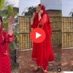 Sapna Choudhary Dance: सपना चौधरी ने 'दयोरानी जेठानी' पर मचाया धमाल, डांस देख फैंस बोले- "सपना इज़ बैक!"