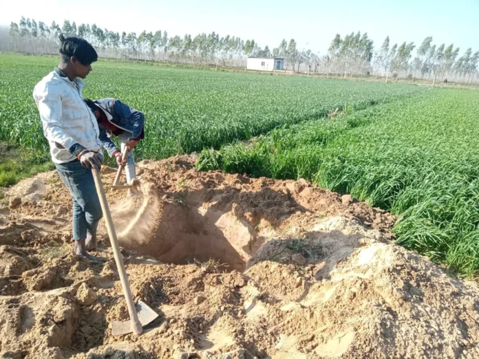 पोल लगाने के लिए खेत में जबरन गड्ढा खोदा