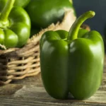 Benefits of Eating Capsicum : शिमला मिर्च पौष्टिक और स्वादिष्ट सब्जी, इसे खाने के फायदे देखें