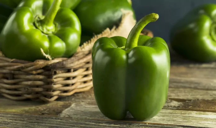 Benefits of Eating Capsicum : शिमला मिर्च पौष्टिक और स्वादिष्ट सब्जी, इसे खाने के फायदे देखें