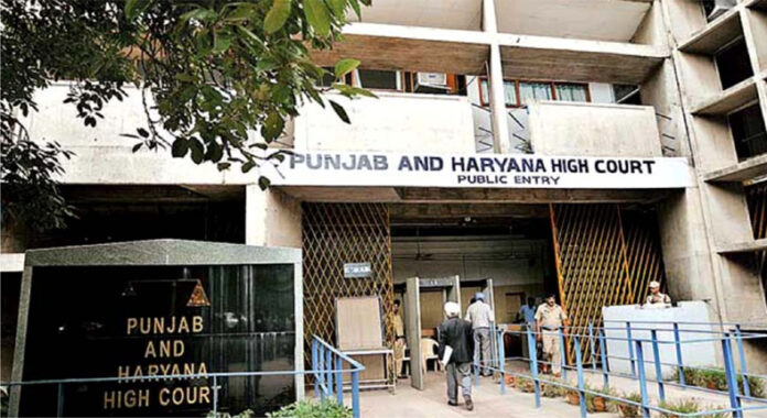 Punjab-Haryana High Court News: हरियाणा-पंजाब में बिना वैध प्रिस्क्रिप्शन प्रतिबंधित दवा बेचने वालों पर हाईकोर्ट सख्त