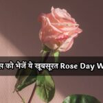 अपने खास को भेजें ये खूबसूरत Rose Day Wishes