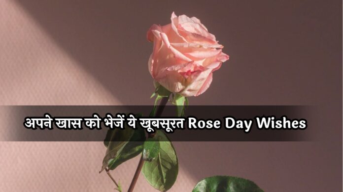 अपने खास को भेजें ये खूबसूरत Rose Day Wishes