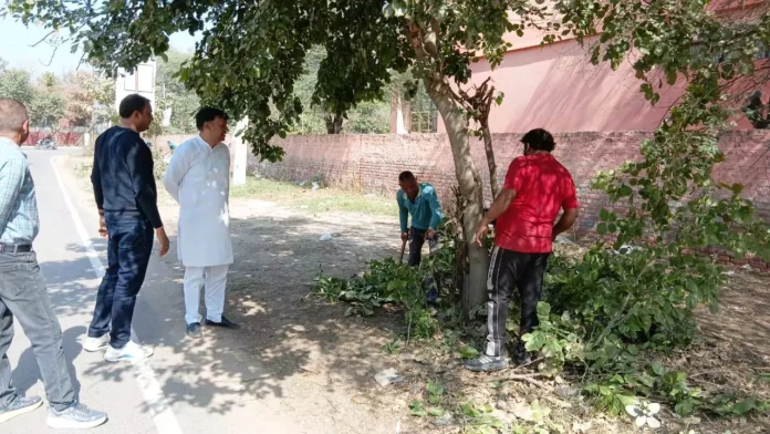 भिवानी की ग्रीन बेल्टों पर साफ-सफाई का टेंडर हुआ जार, सफाई का कार्य हुआ शुरू