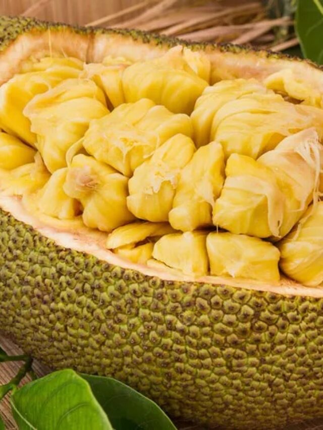 Benefits of Jackfruit: ताकत का खजाना है कटहल! सेहत के फायदों में मटन-चिकन को भी छोड़ता पीछे