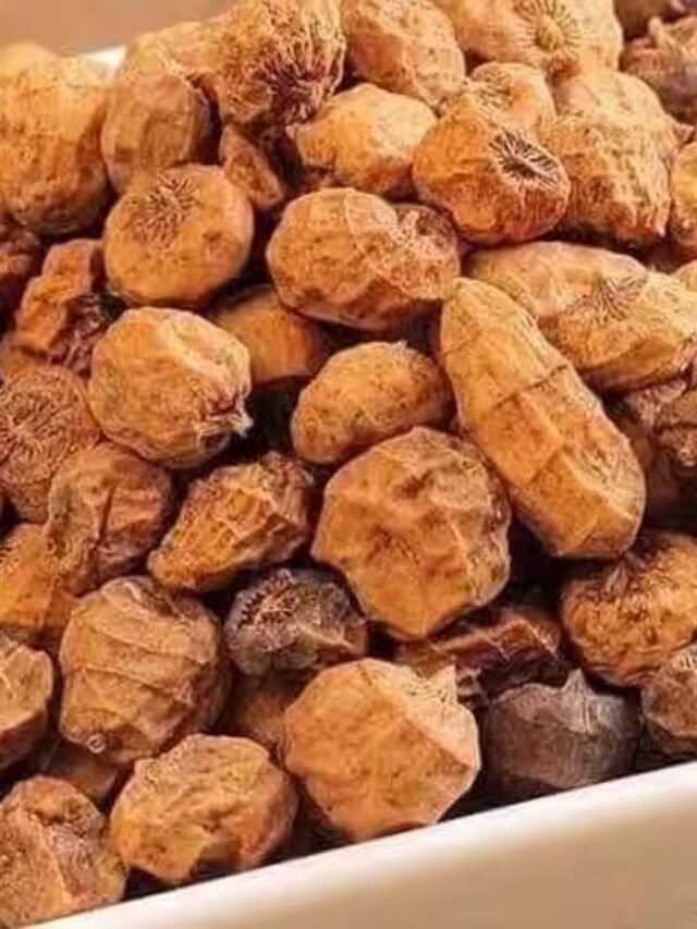 Benefits Of Tiger Nuts: पिस्ता-बादाम को भूल जाइए! टाइगर नट्स के जबरदस्त फायदे